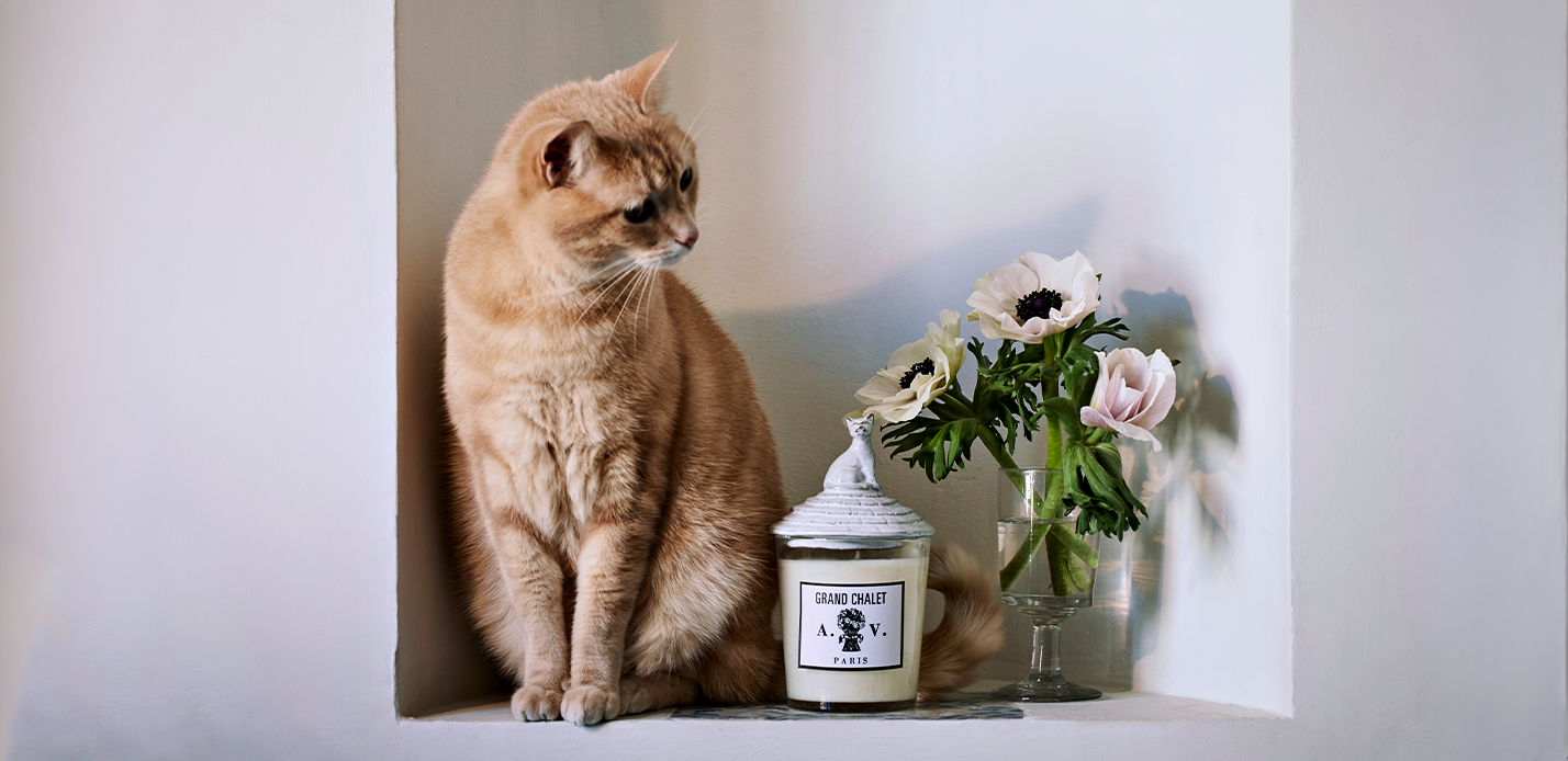 ASTIER DE VILLATTE NEW-IN: CANDLES, COLOGNES & INCENSE