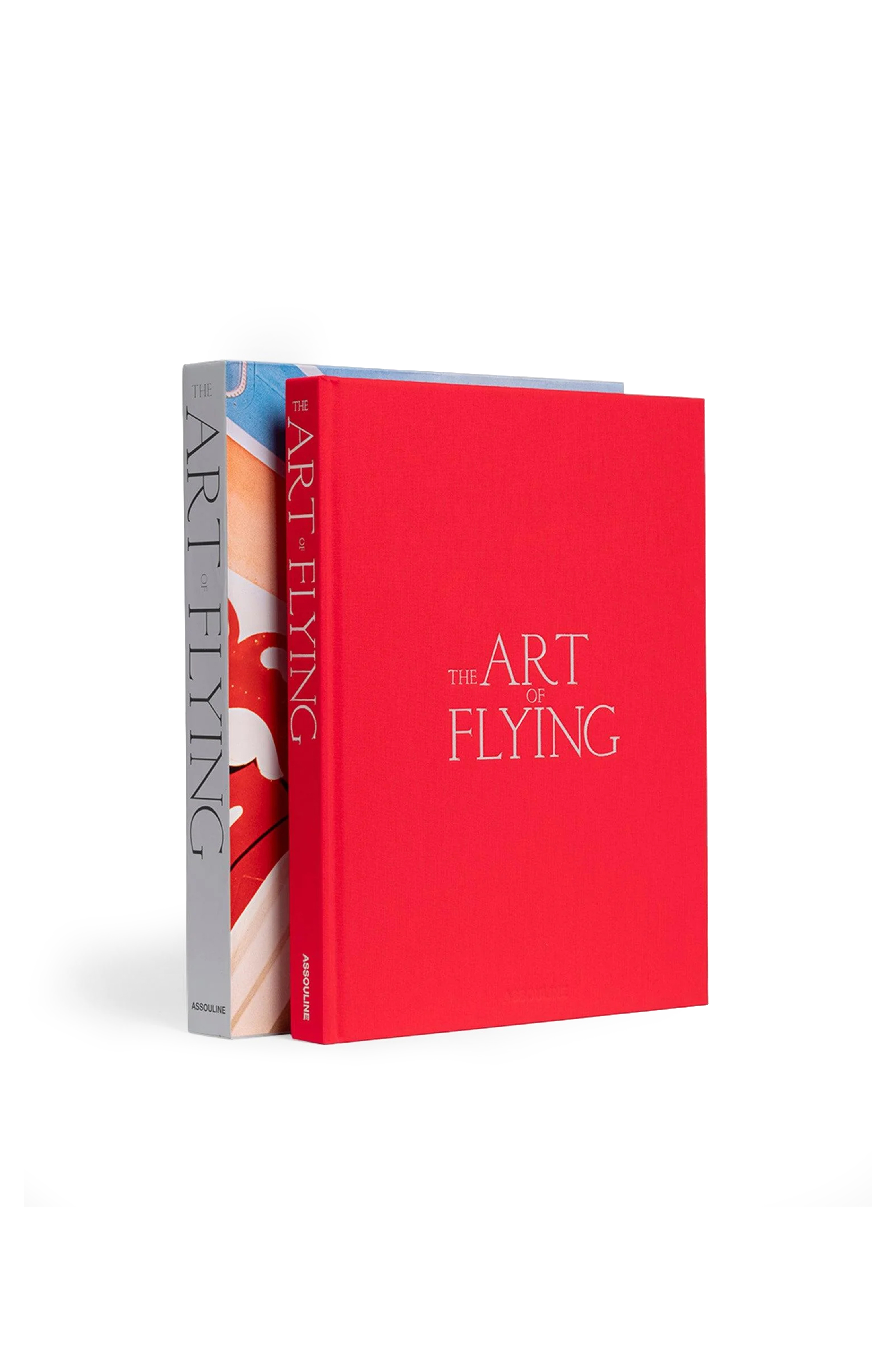 THE ART OF FLYING thumbnail 3
