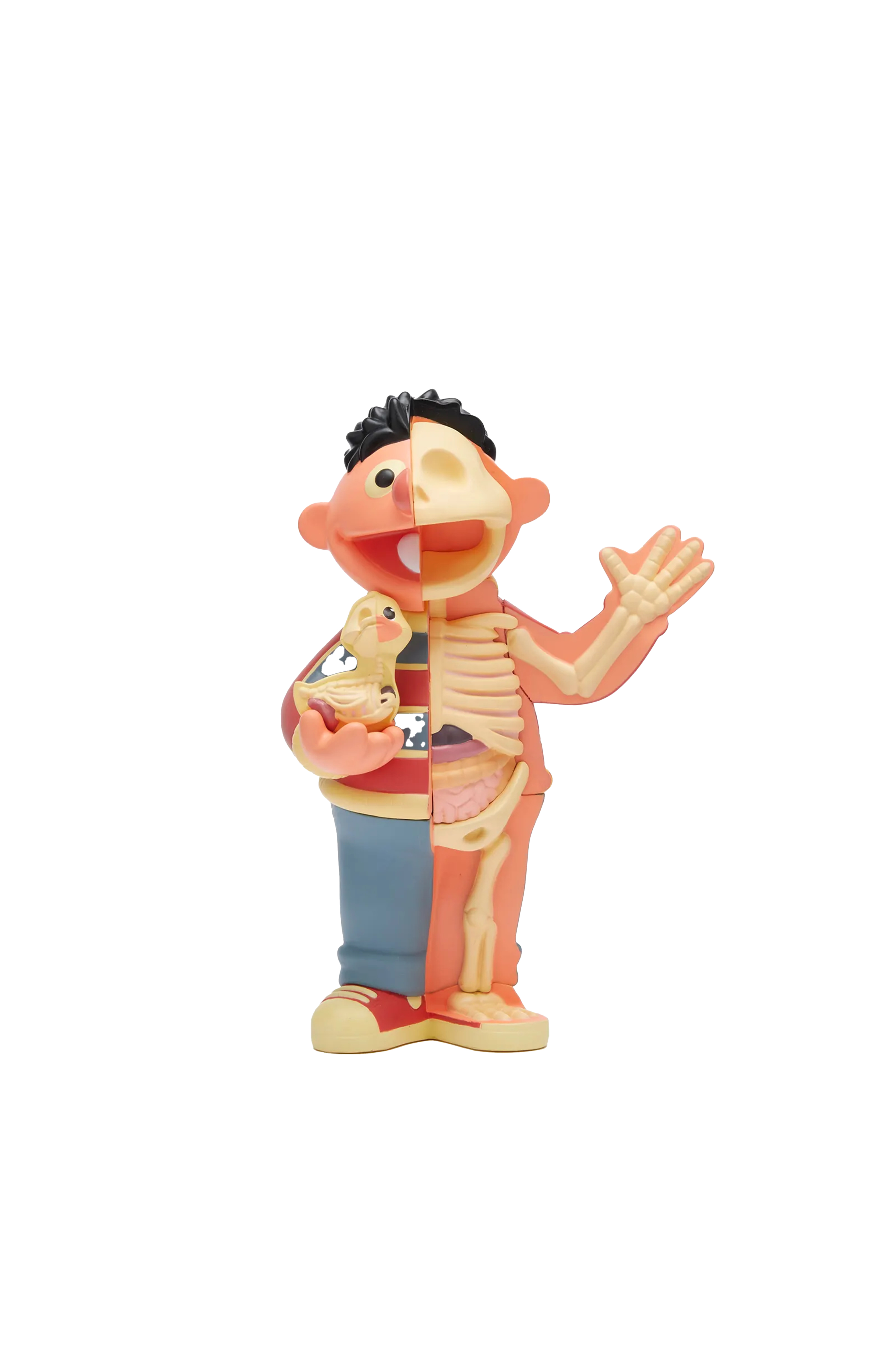 XXRAY PLUS 8.5'' ERNIE RETRO EDITION thumbnail 2