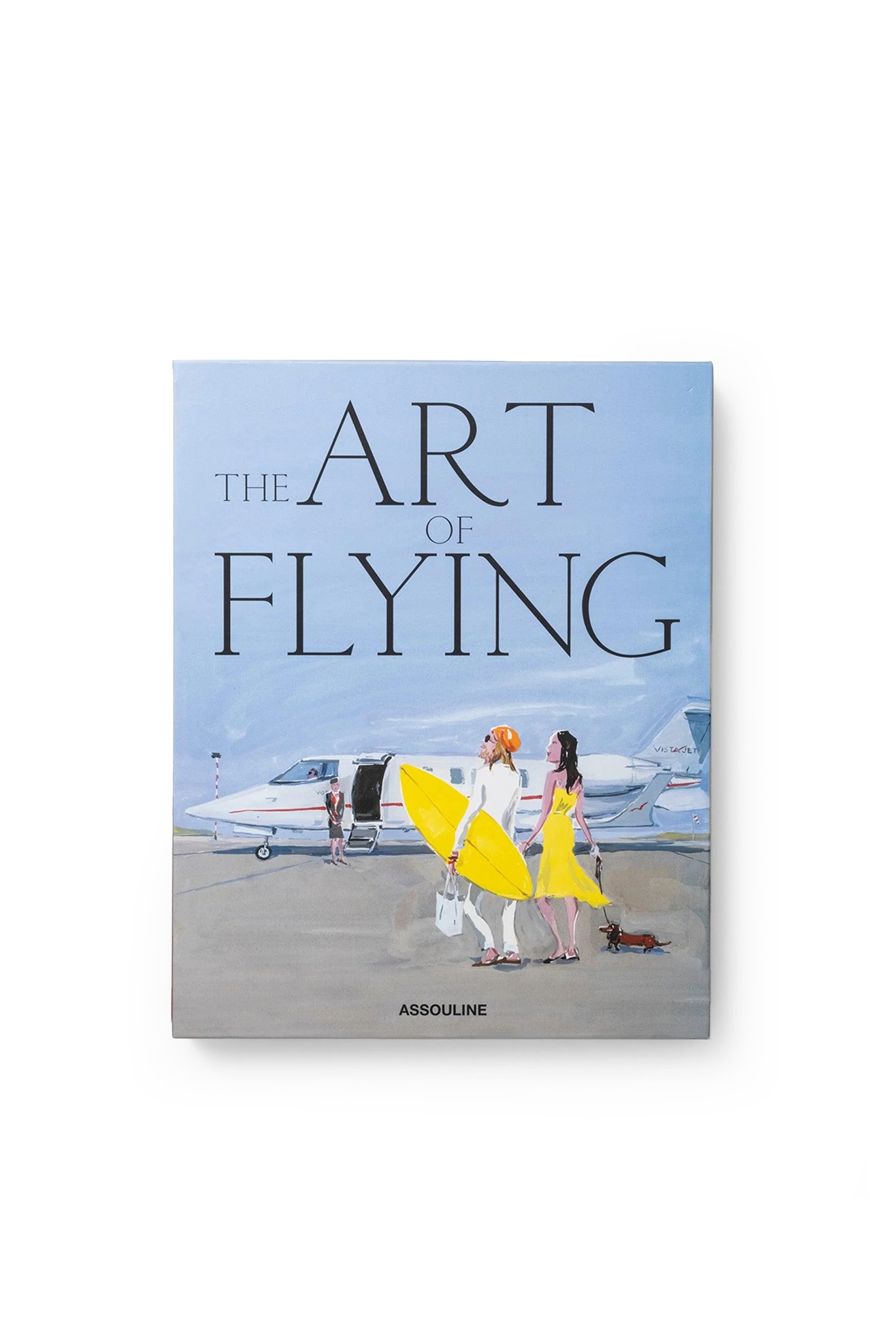 THE ART OF FLYING thumbnail 4