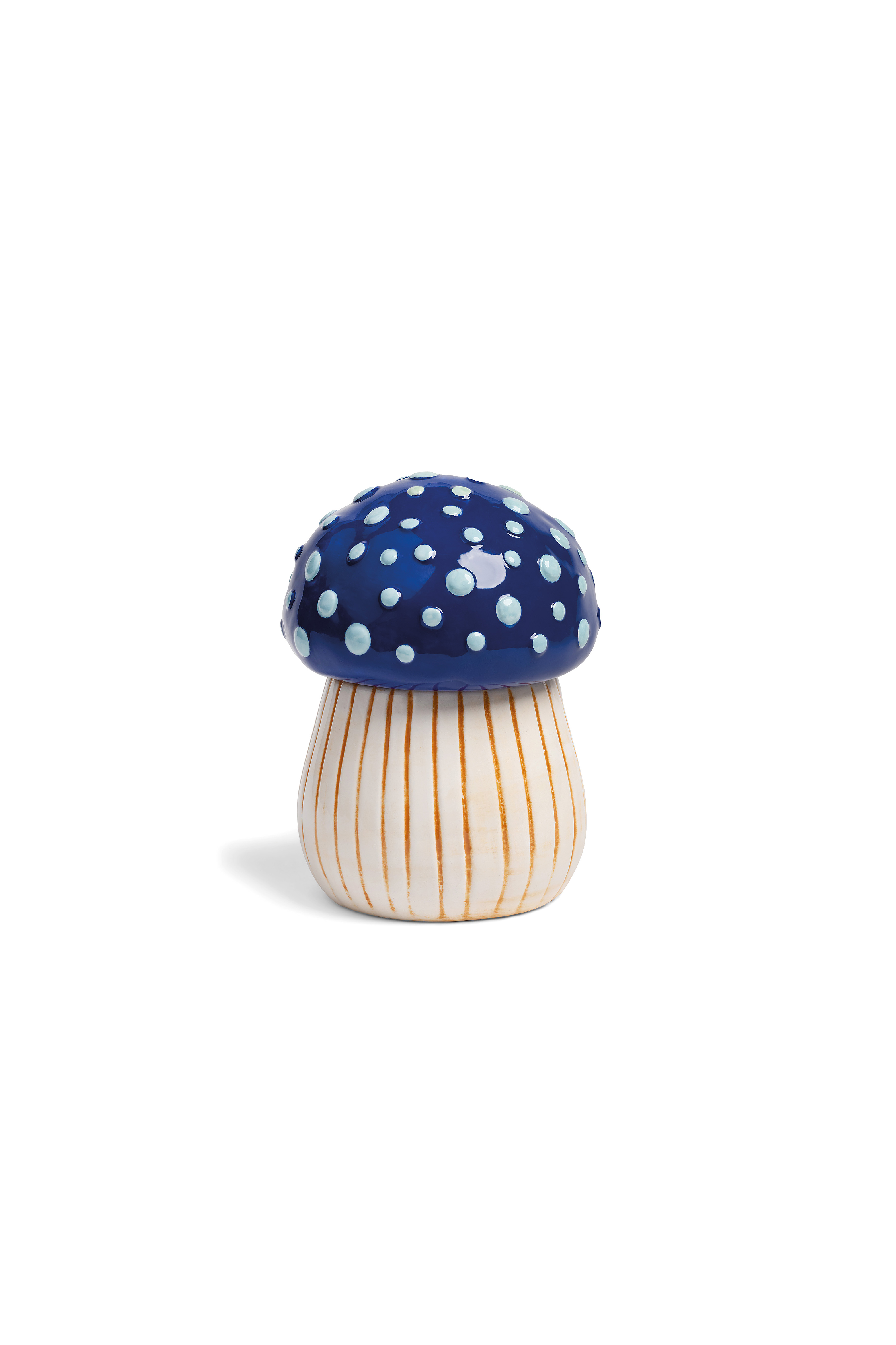 JAR MAGIC MUSHROOM MEDIUM