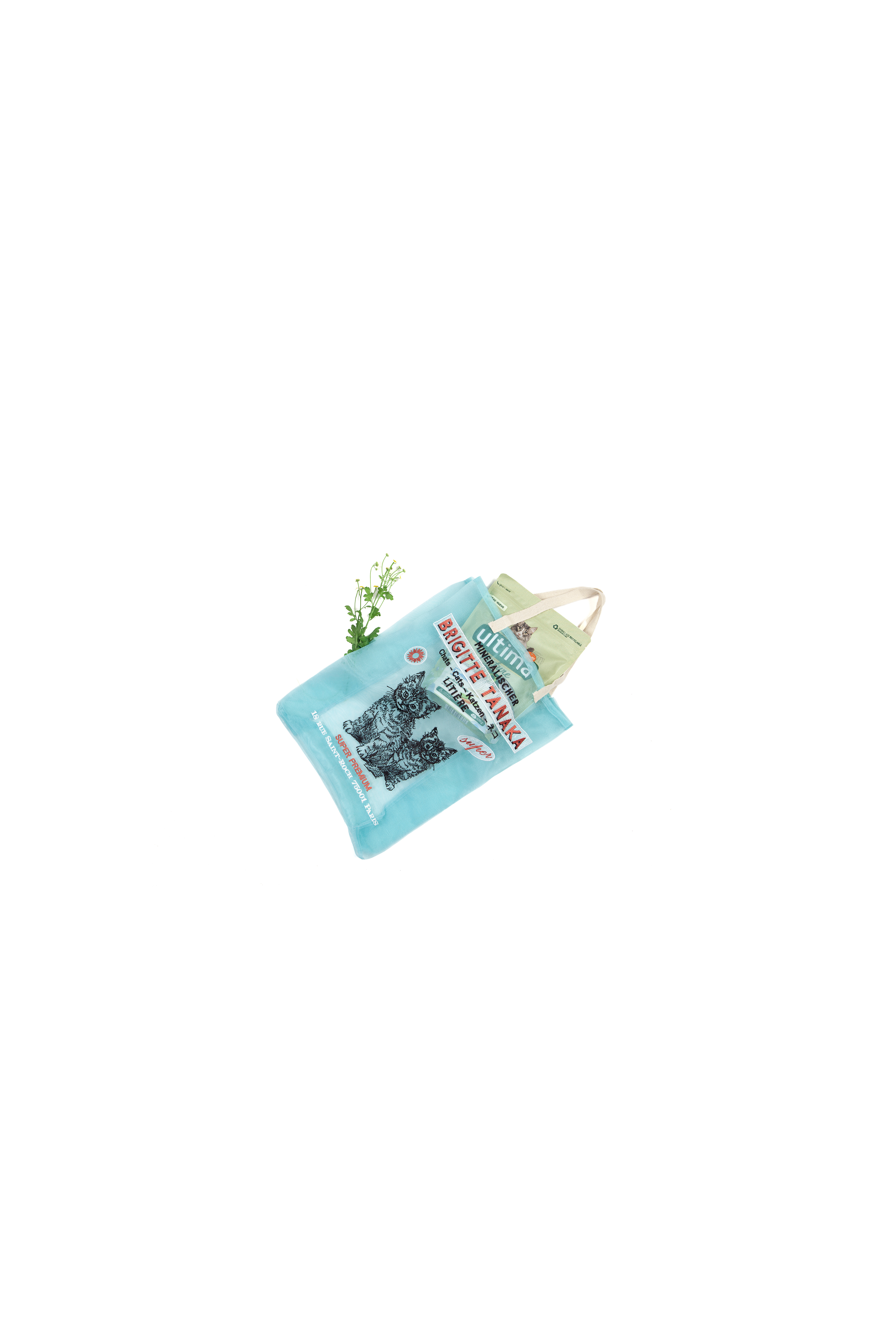 CHAT BLEU MENTHE TOTE BAG thumbnail 2