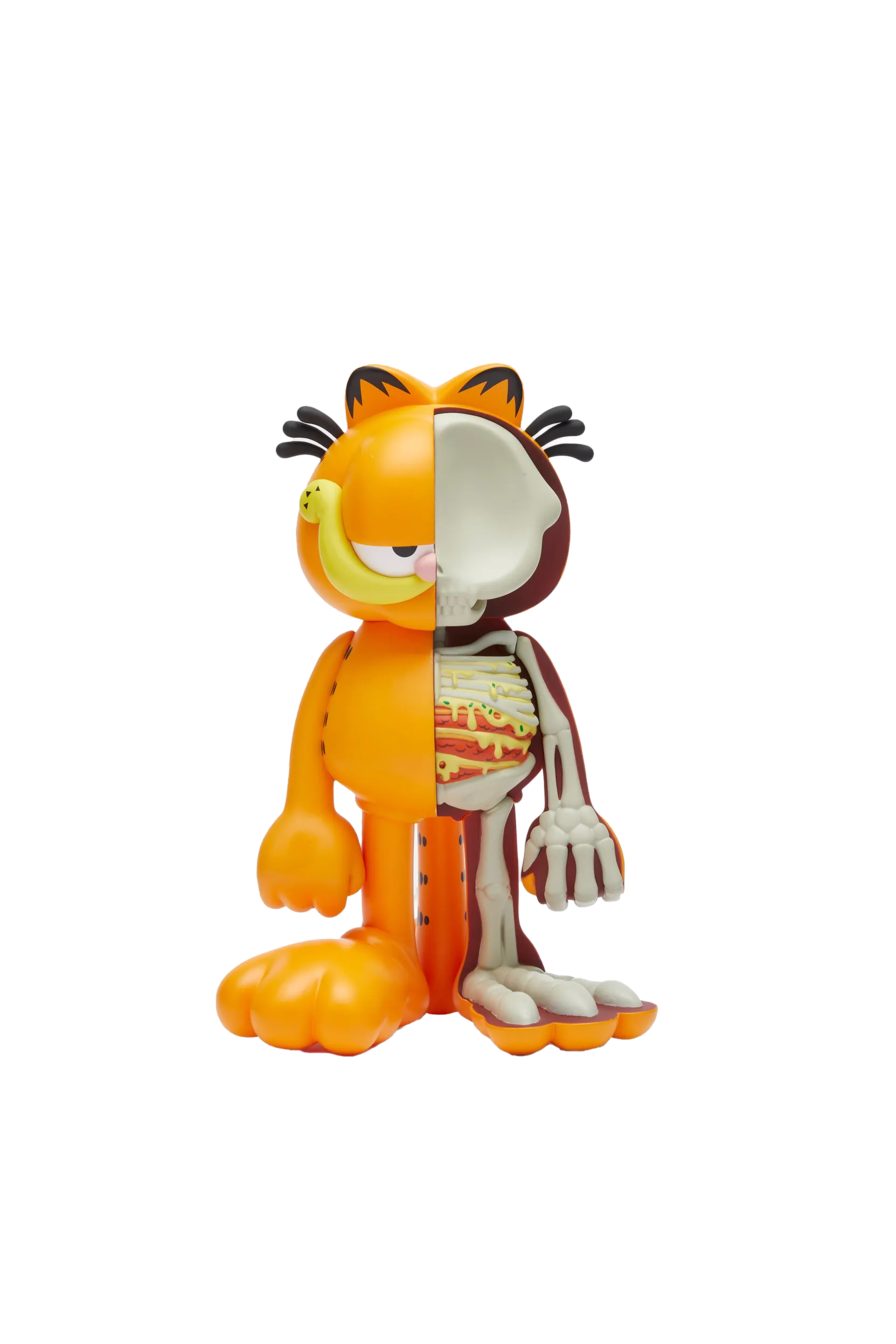 XXRAY PLUS GARFIELD