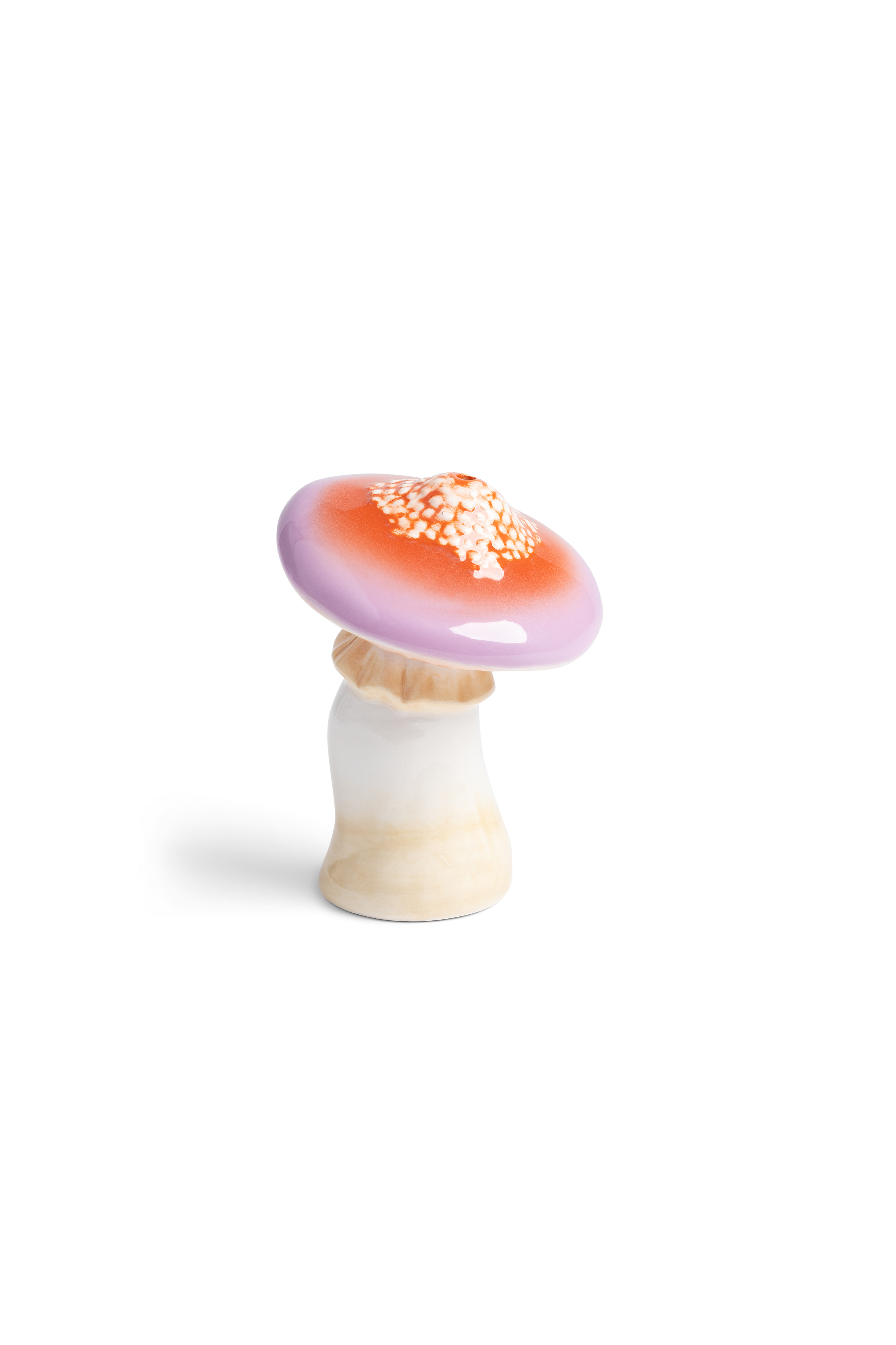 SALT & PEPPER MAGIC MUSHROOM thumbnail 3