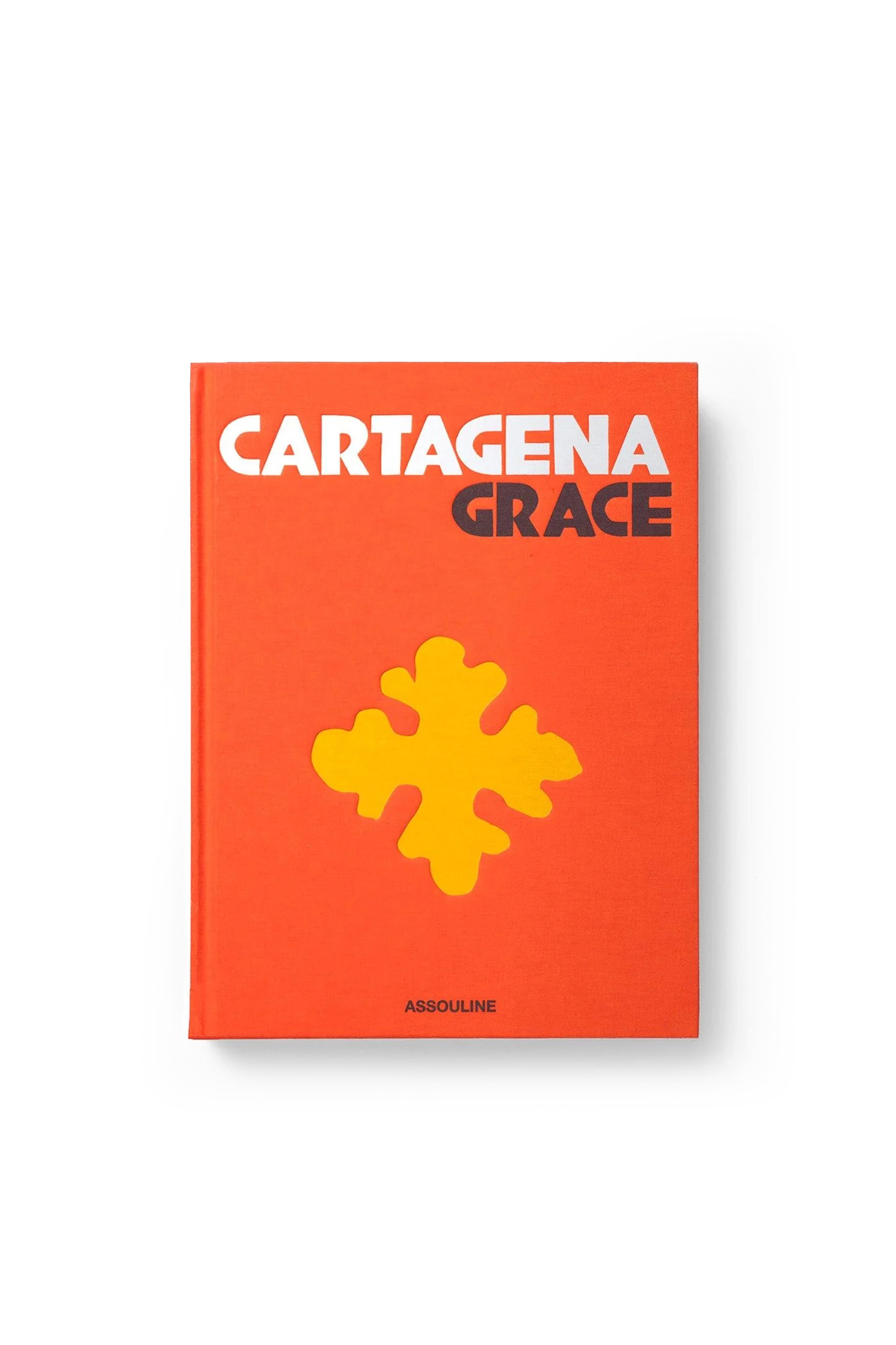 CARTAGENA GRACE thumbnail 3