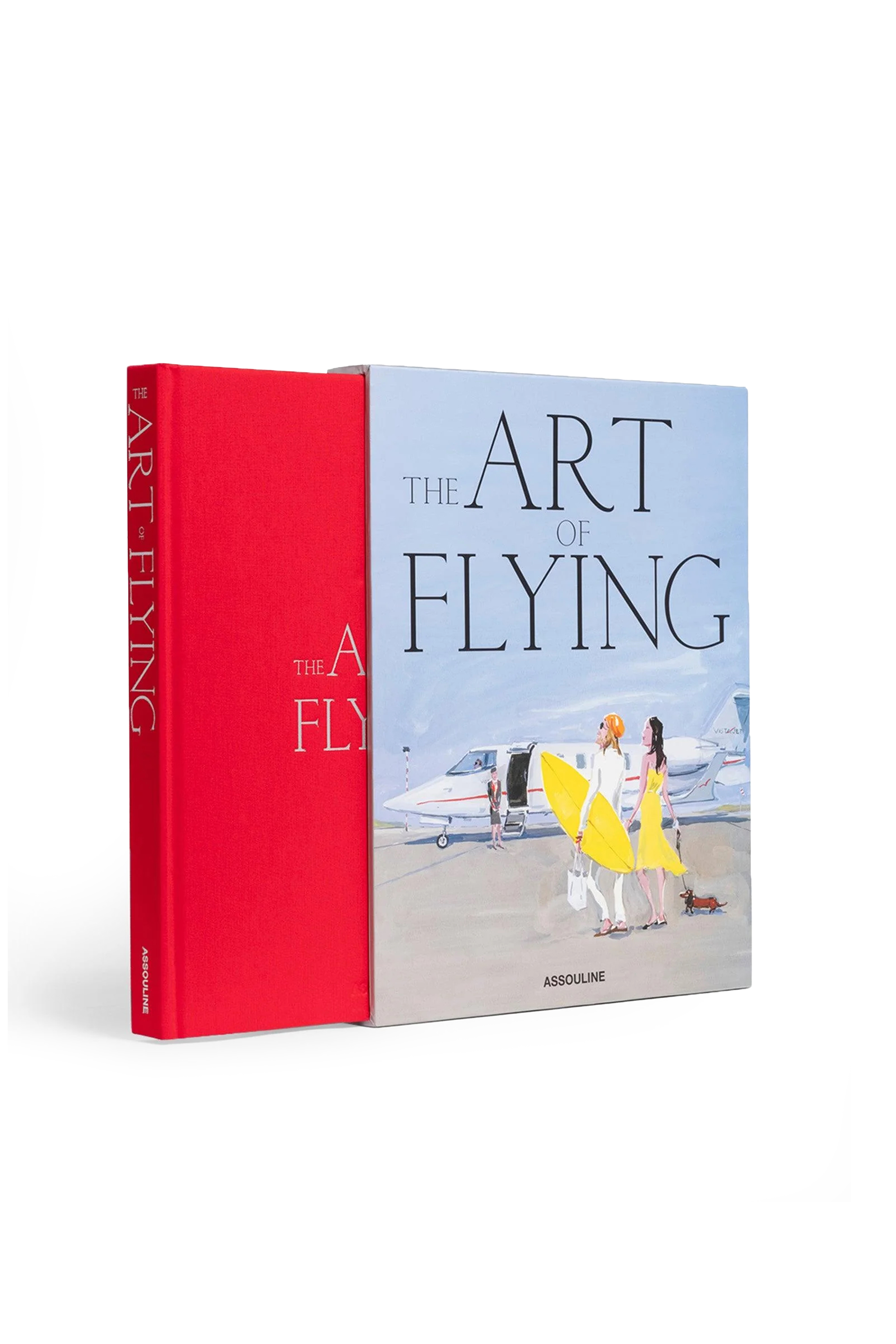 THE ART OF FLYING thumbnail 2