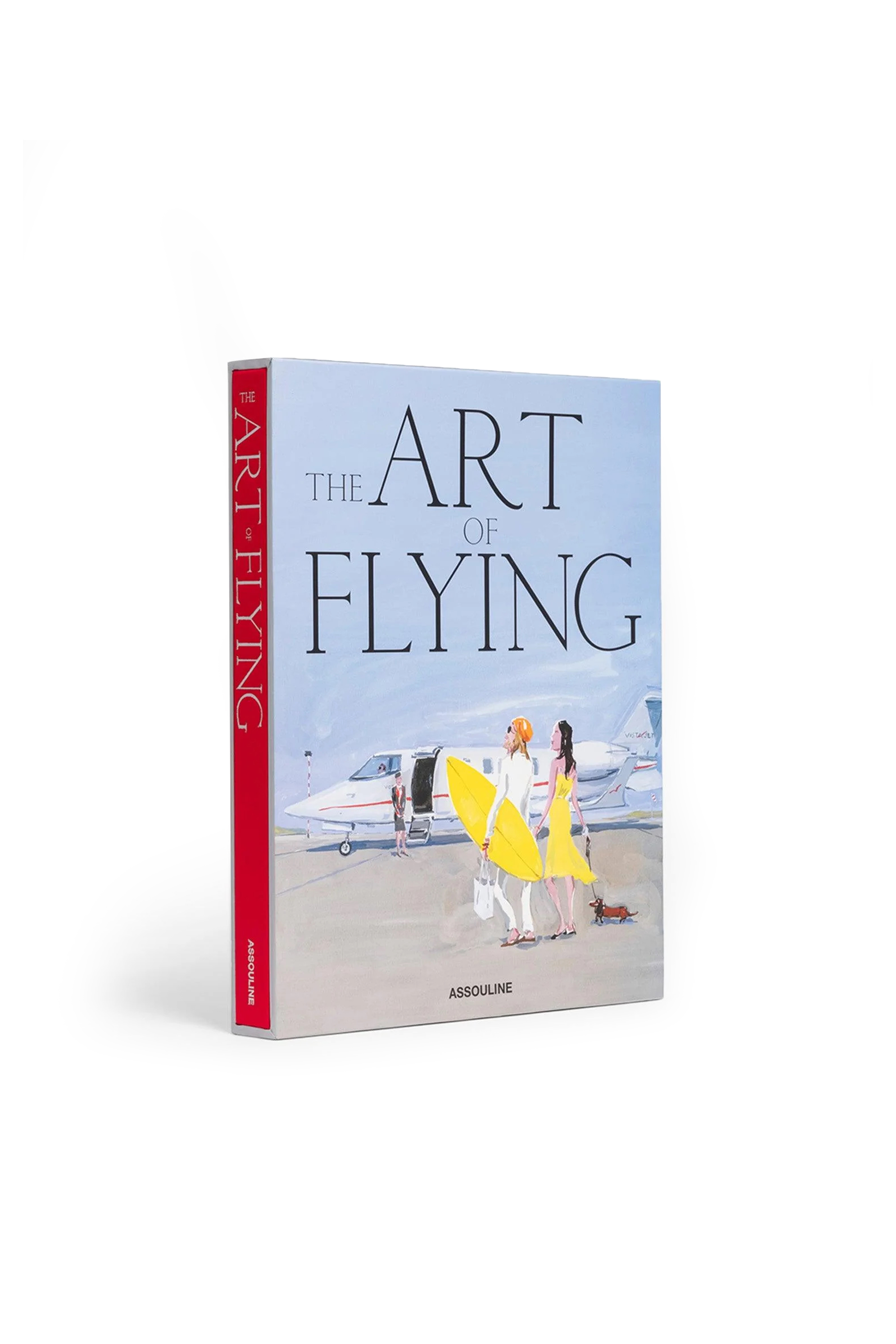 THE ART OF FLYING