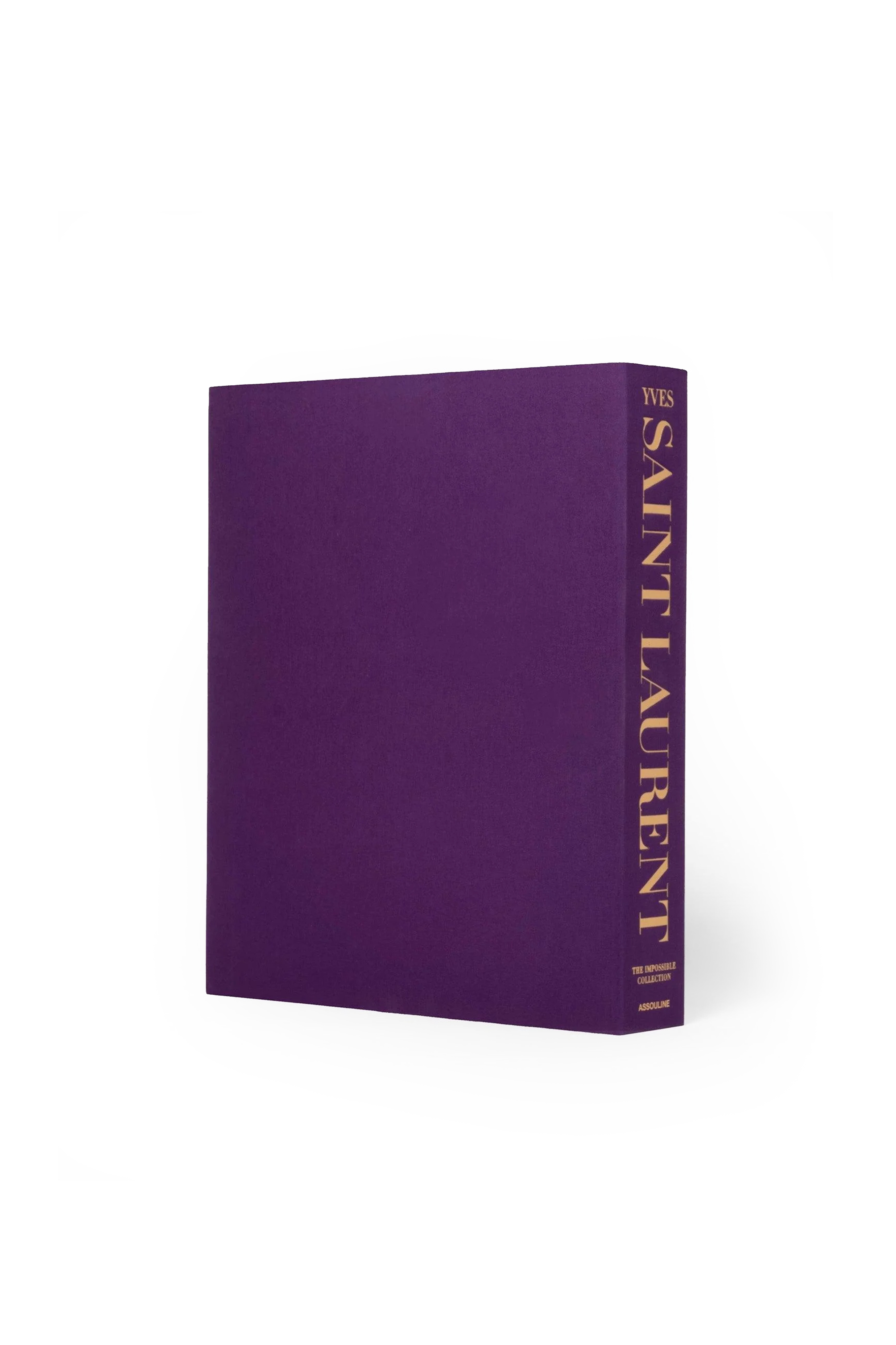 YVES SAINT LAURENT: THE IMPOSSIBLE thumbnail 2