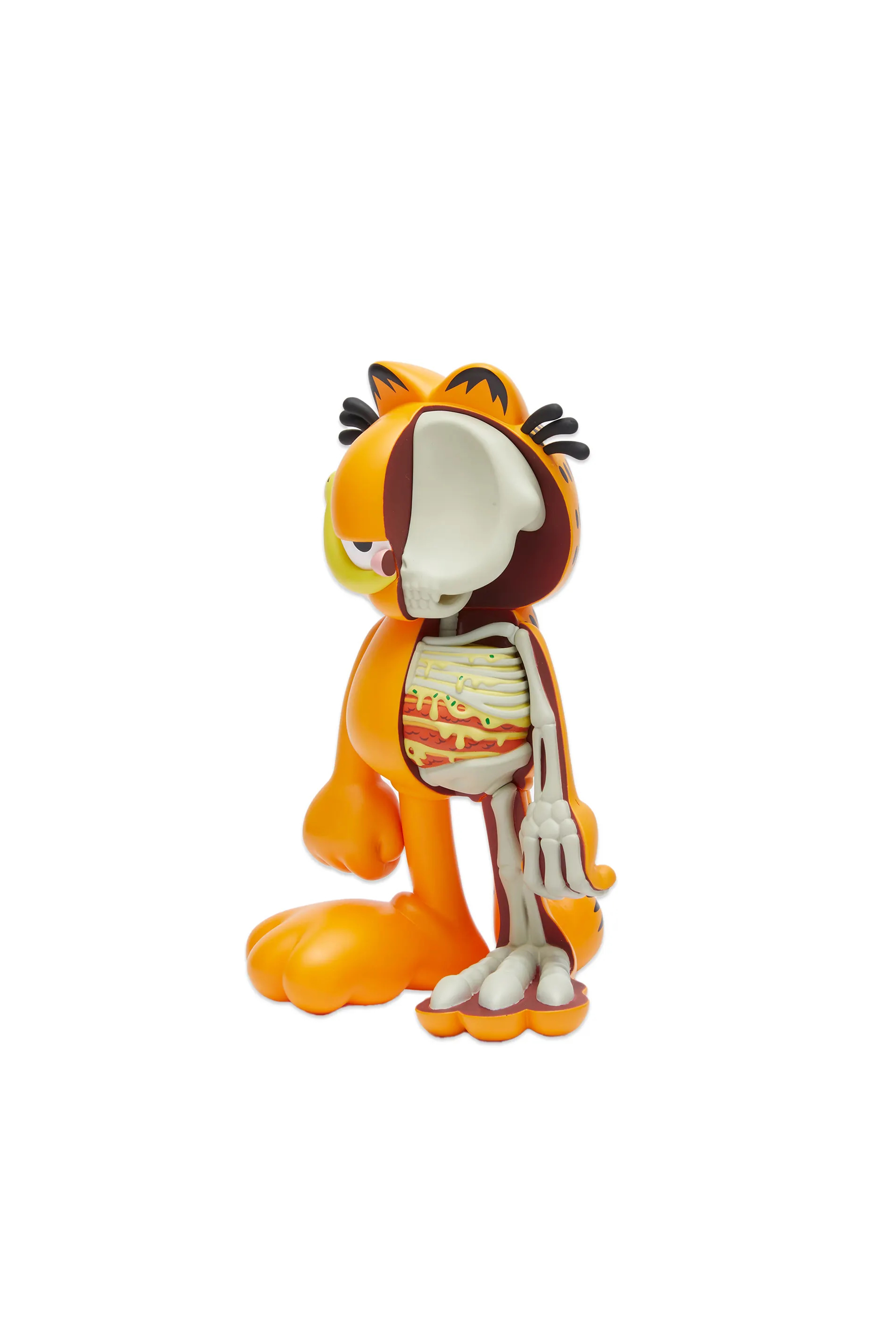 XXRAY PLUS GARFIELD thumbnail 2